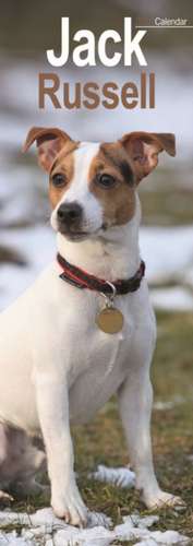 Jack Russell - Jack Russell Terrier 2025 de Avonside Publishing Ltd