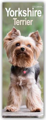 Yorkshire Terrier - Yorkies 2025 de Avonside Publishing Ltd