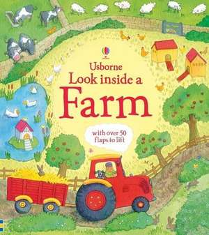 Look Inside a Farm de Katie Daynes