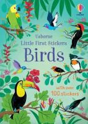 Little First Stickers Birds de Jane Bingham