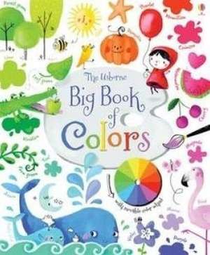 Big Book of Colors de Felicity Brooks