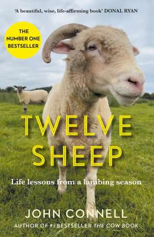 Connell, J: Twelve Sheep de John Connell