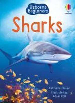 Sharks (Usborne Beginners) de Catriona Clarke