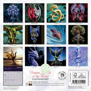 Anne Stokes: Dragon Legends of the World Mini Wall calendar 2025 (Art Calendar) de Flame Tree Studio