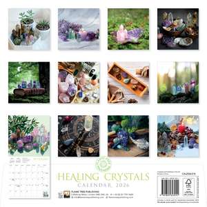 Healing Crystals Wall Calendar 2026 (Art Calendar) de Flame Tree Studio