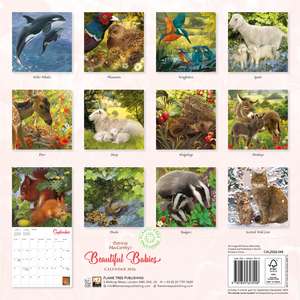 Patricia MacCarthy's Baby Animals Wall Calendar 2026 (Art Calendar) de Flame Tree Studio