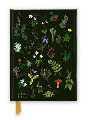 Anna Stead: The Forest Floor (Foiled Journal) de Flame Tree Studio