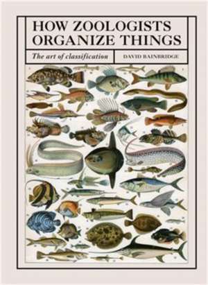 How Zoologists Organize Things de David Bainbridge