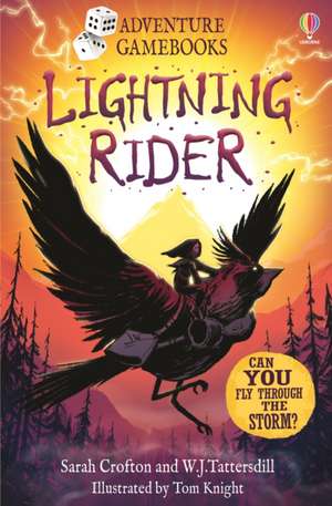 Lightning Rider de Sarah Crofton