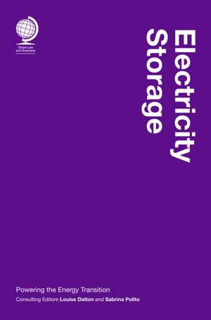 Electricity Storage de Louise Dalton