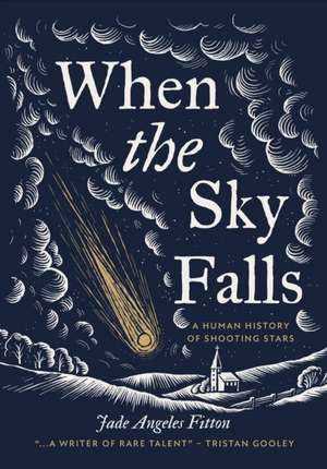 When the Sky Falls de Jade Angeles Fitton