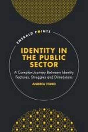 Identity in the Public Sector – A Complex Journey Between Identity Features, Struggles and Dimensions de Andrea Tomo