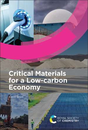 Critical Materials for a Low-Carbon Economy de David Segal