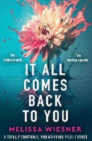 It All Comes Back to You de Melissa Wiesner