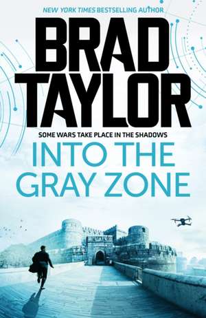 Into the Gray Zone de Brad Taylor