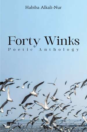 Forty Winks de Habiba Alkali-Nur