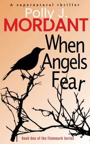 When Angels Fear de P. J. Mordant