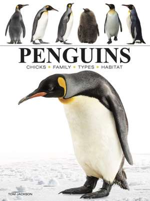 Penguins de Tom Jackson