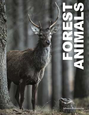 Forest Animals de Julianna Photopoulos