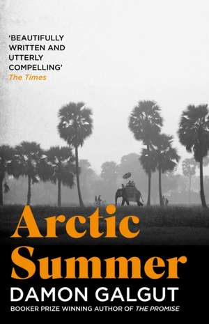 Arctic Summer de Damon Galgut