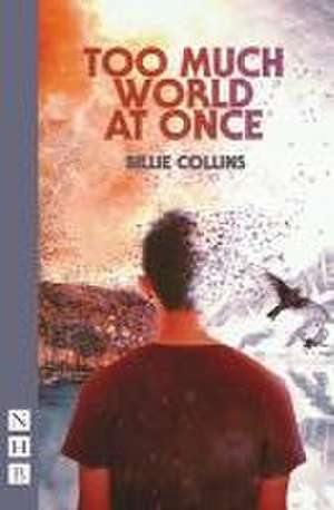 Too Much World at Once de Billie Collins