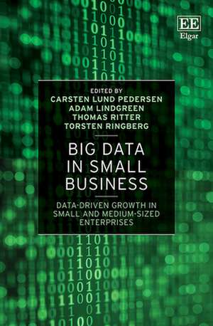 Big Data in Small Business – Data–Driven Growth in Small and Medium–Sized Enterprises de Carsten Lund Pedersen