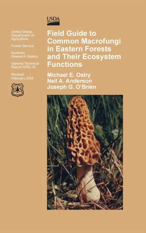 Field Guide to Common Macrofungi in Eastern Forests and Their Ecosystem Function de Michael E. Ostry