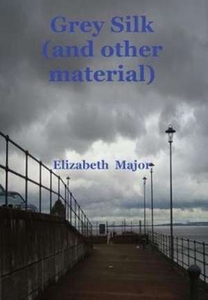 Grey Silk (and other material) de Elizabeth Mary Major