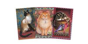 Lesley Anne Ivory Set of 3 Mini Notebooks de Flame Tree Studio