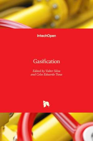 Gasification de Valter Silva