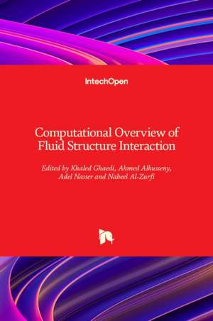 Computational Overview of Fluid Structure Interaction