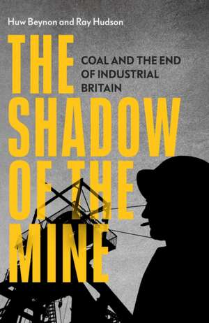 The Shadow of the Mine de Ray Hudson