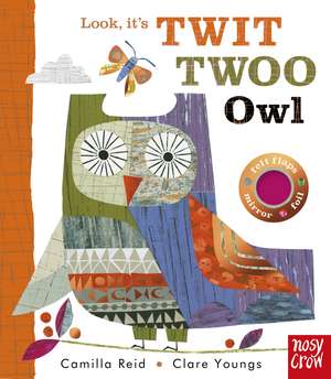 Look, It's Twit Twoo Owl de Camilla Reid