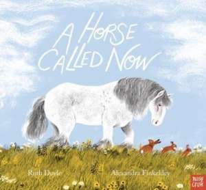 A Horse Called Now de Ruth Doyle