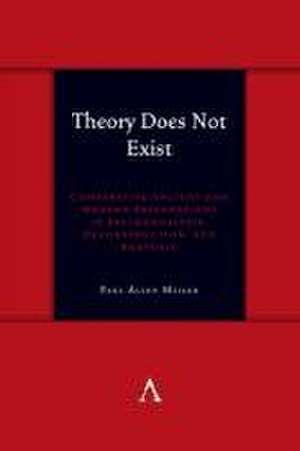 Theory Does Not Exist de Paul Allen Miller