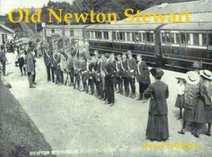 Old Newton Stewart de David Pettigrew