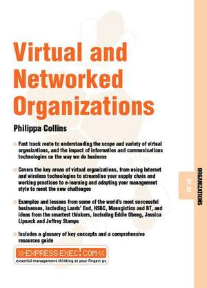 Virtual and Networked Organizations de Philippa Collins