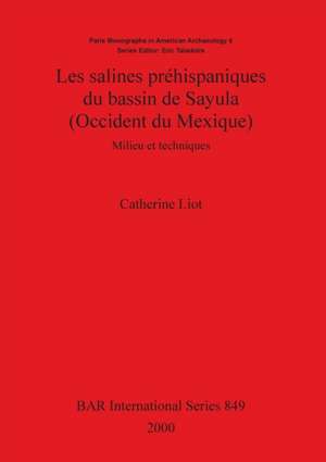 Les salines préhispaniques du bassin de Sayula (Occident du Mexique) de Catherine Liot