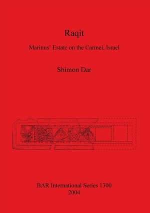 Raqit de Shimon Dar