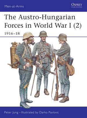 The Austro-Hungarian Forces in World War I (2): 1916–18 de Peter Jung