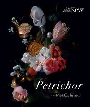 Petrichor de Mat Collishaw