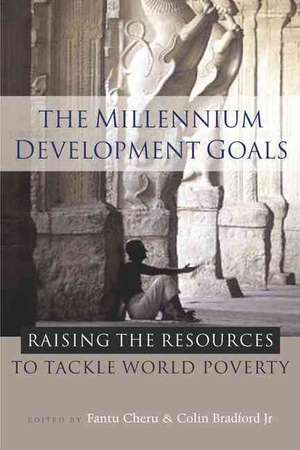 The Millennium Development Goals: Raising the Resources to Tackle World Poverty de Fantu Cheru