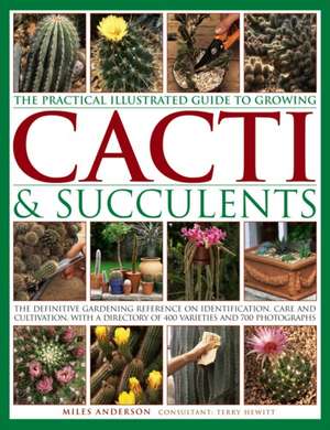 Practical Illustrated Guide to Growing Cacti & Succulents de Miles Anderson