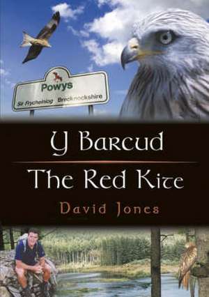 Cyfres Cip ar Gymru / Wonder Wales: Barcud, Y / Red Kite, The de David Jones