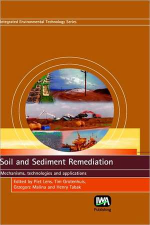 Soil and Sediment Remediation de Piet Lens