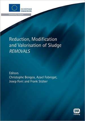 Reduction, Modification and Valorisation of Sludge Removals de Christophe Bengoa