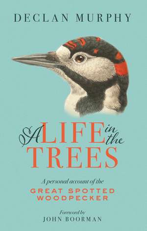 A Life in the Trees: A Personal Account of the Great Spotted Woodpecker de Declan Murphy