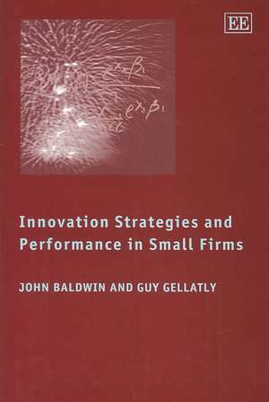 Innovation Strategies and Performance in Small Firms de John R. Baldwin