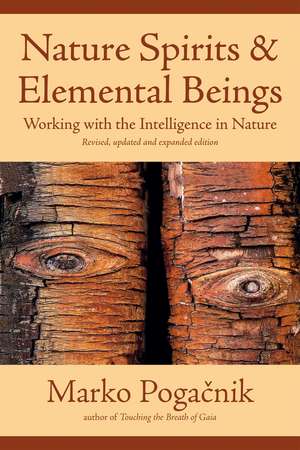 Nature Spirits & Elemental Beings: Working with the Intelligence in Nature de Marko Pogacnik