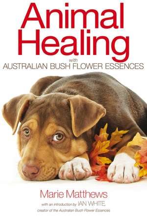 Animal Healing with Australian Bush Flower Essences de Marie Matthews